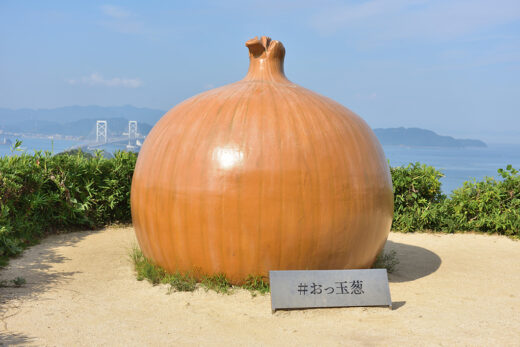 画像：おっ玉葱