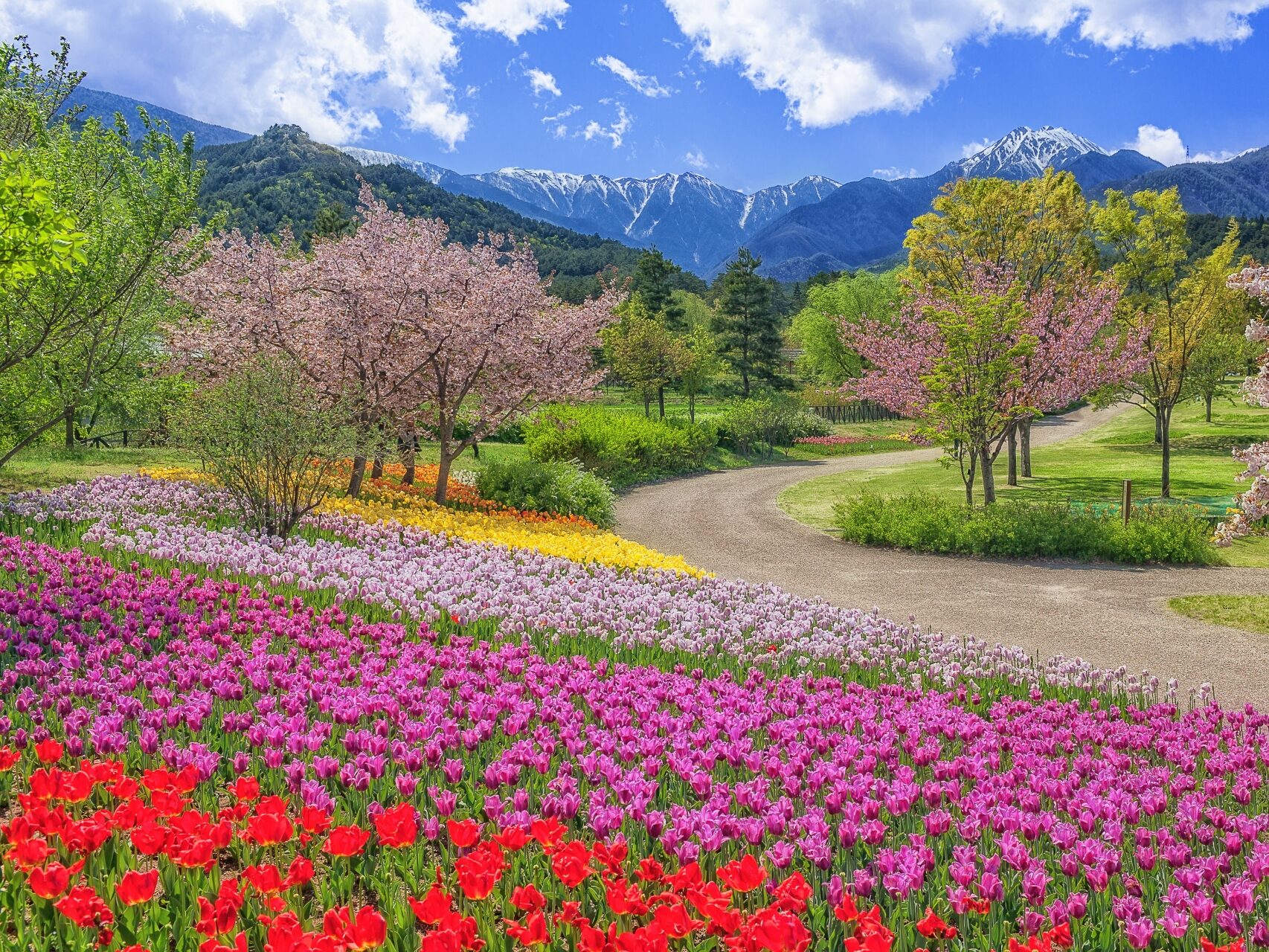 国営アルプスあづみの公園