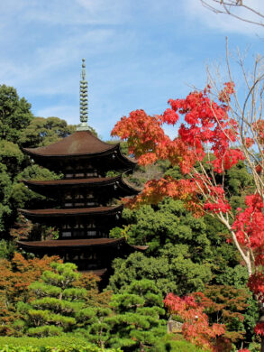 紅葉に彩られた国宝瑠璃光寺五重塔