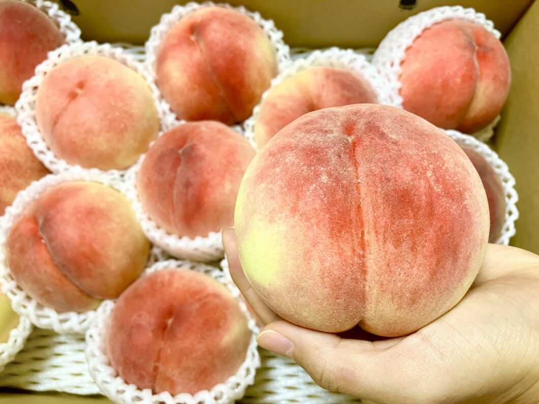 桃