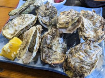 名物「浦村牡蠣」