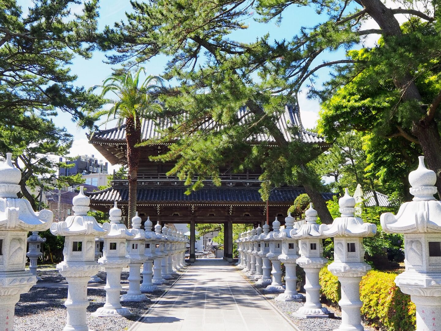 誕生寺