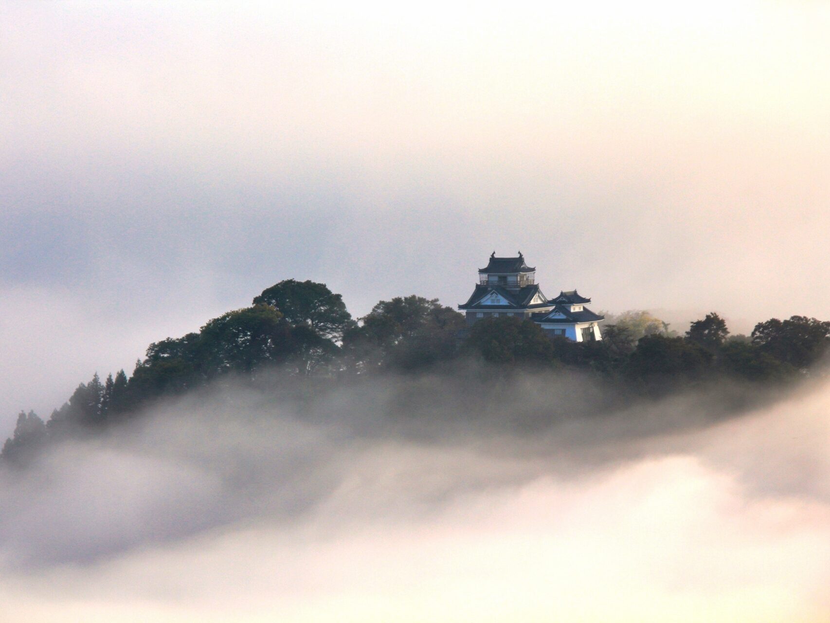 大野市　越前大野城