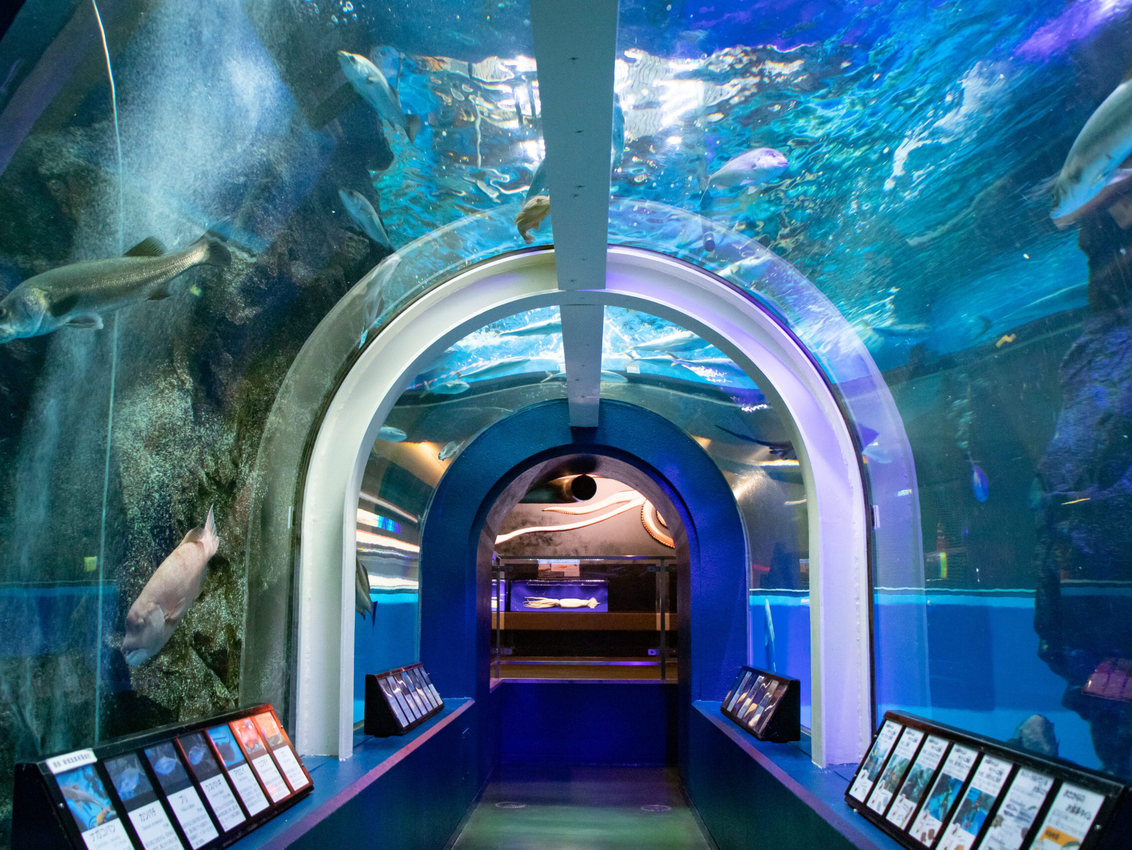 魚津水族館ⓒ（公社）とやま観光推進機構